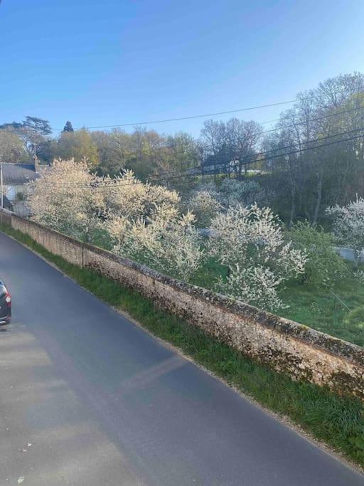 Gite Des Moriers Blois Bord De Loire Eksteriør bilde